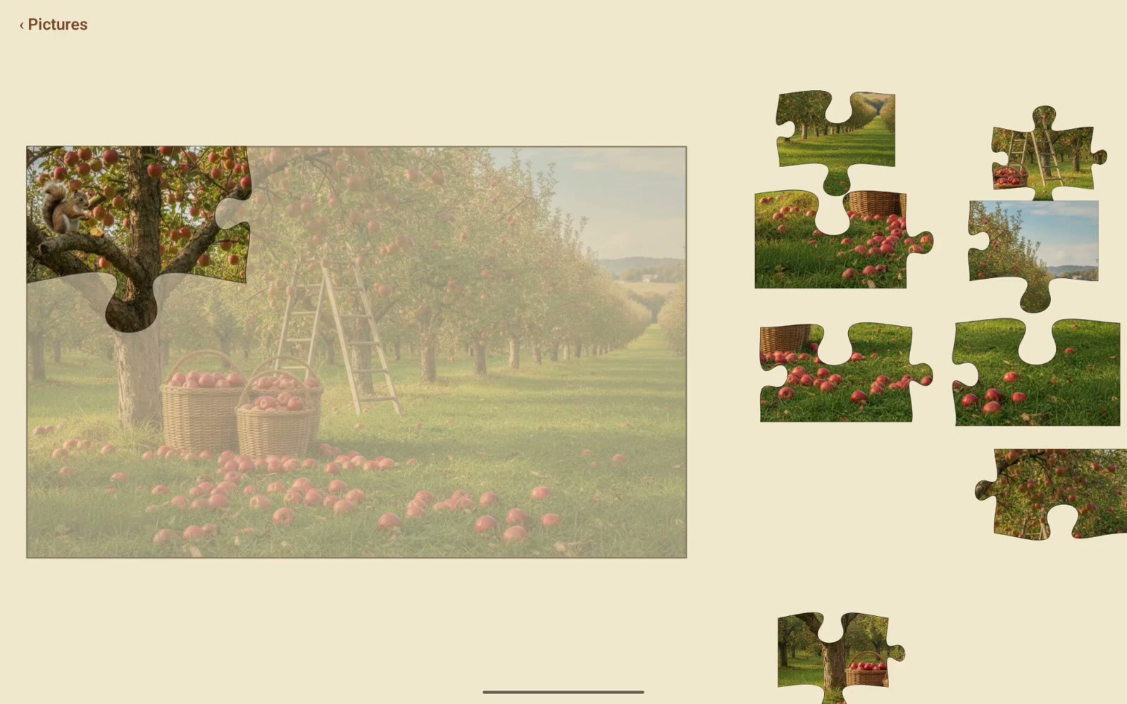 A tablet screen with an apple-orchard jigsaw mid-solve: one interlocking piece locked over a faded guide picture, remaining pieces in a tray on the right.